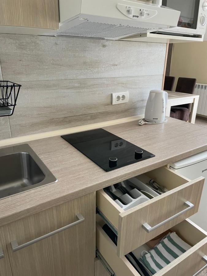 Vila Lucky Kop & Restoran Kopaonik Luaran gambar
