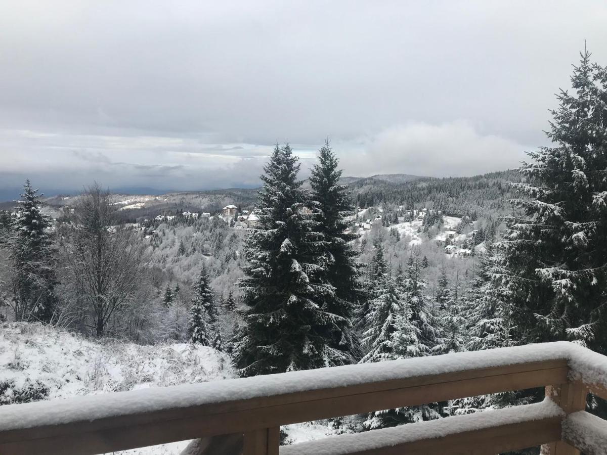Vila Lucky Kop & Restoran Kopaonik Luaran gambar